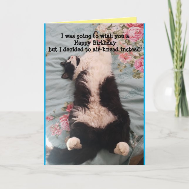 Tuxedo Cat Cute Funny Sleeping Cats Carte de pétri (Devant)