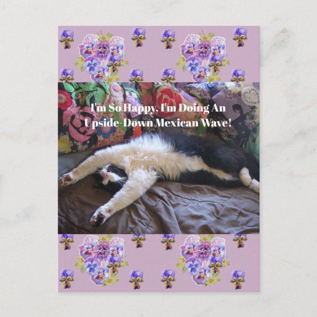 Tuxedo Cat Funny Niedlich, ein Mexikanisches Wave  Postkarte (Vorderseite)