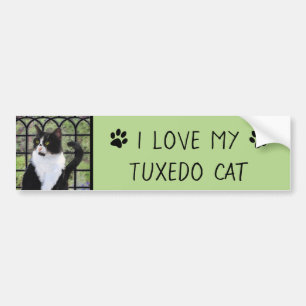 Tuxedo Cat in Window Painting Original Animal Art Autoaufkleber