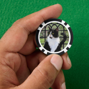 Tuxedo Cat in Window Painting Original Animal Art Pokerchips