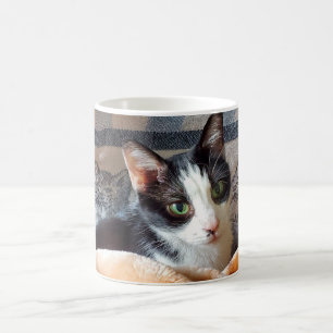 Tuxedo Cat Kaffeetasse