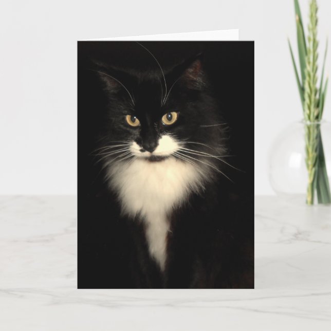 Tuxedo Cat Karte (Vorderseite)