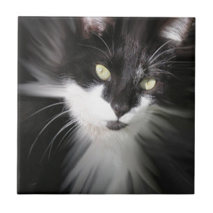 Tuxedo Cat Keramik Tile Fliese
