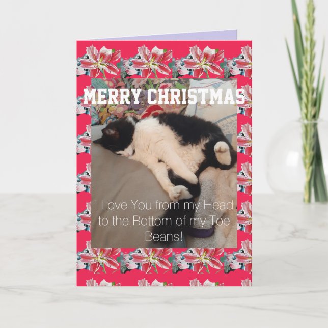 Tuxedo Cat Liebe You Toboans Weihnachtskarte Karte (Vorderseite)