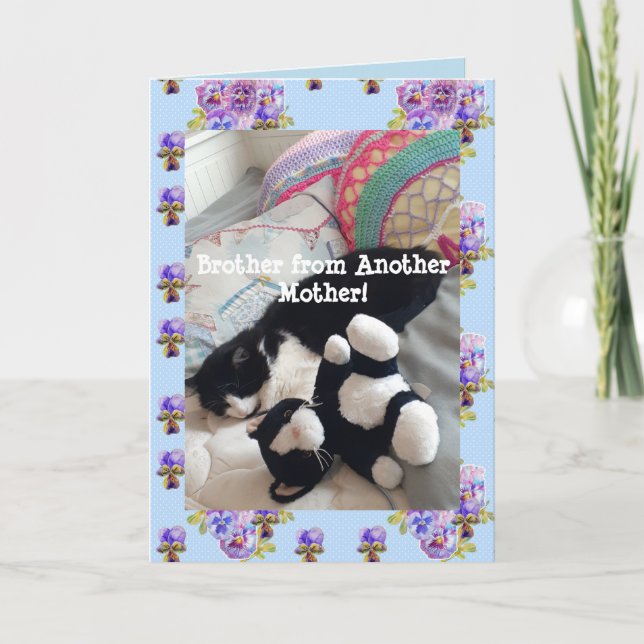 Tuxedo Cat Niedlich Funny Brother Cats Card Karte (Vorderseite)