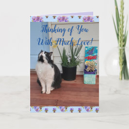 Tuxedo Cat Niedlich Funny Thinking You Liebe Card Karte