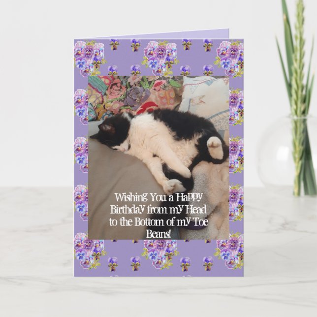 Tuxedo Cat Niedlich Happy Birthday Toboans Card Karte (Vorderseite)