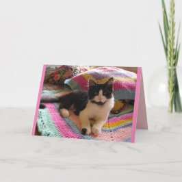 Tuxedo Cat Niedlich Schlafen auf Crochet Rug Katze Karte
