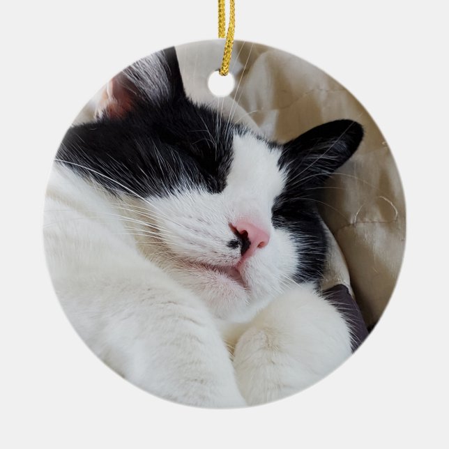 Tuxedo Cat Ornament (Vorne)