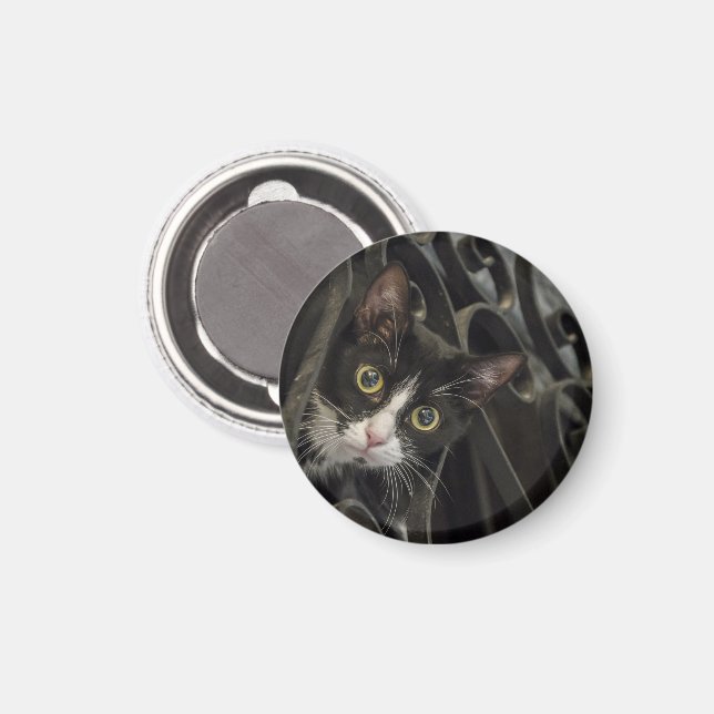 Tuxedo Cat Peak durch Schmiedeeiserzaun Magnet (Vorderseite/Rückseite)