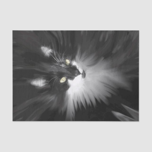 Tuxedo Cat Seidenpapier (Vorderseite)