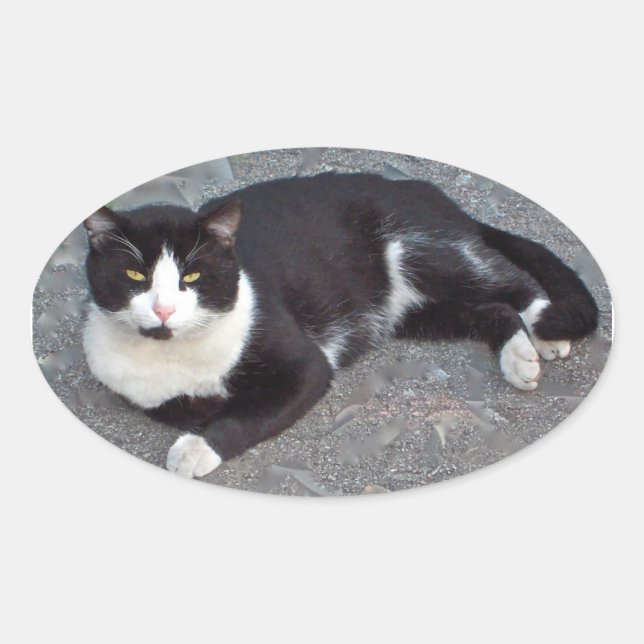 Tuxedo Cat Sticker (Vorderseite)