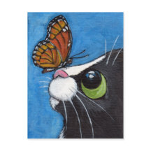 Tuxedo Cat und Viceroy Butterfly