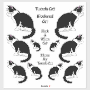 Tuxedo Cats Lg Sticker Set