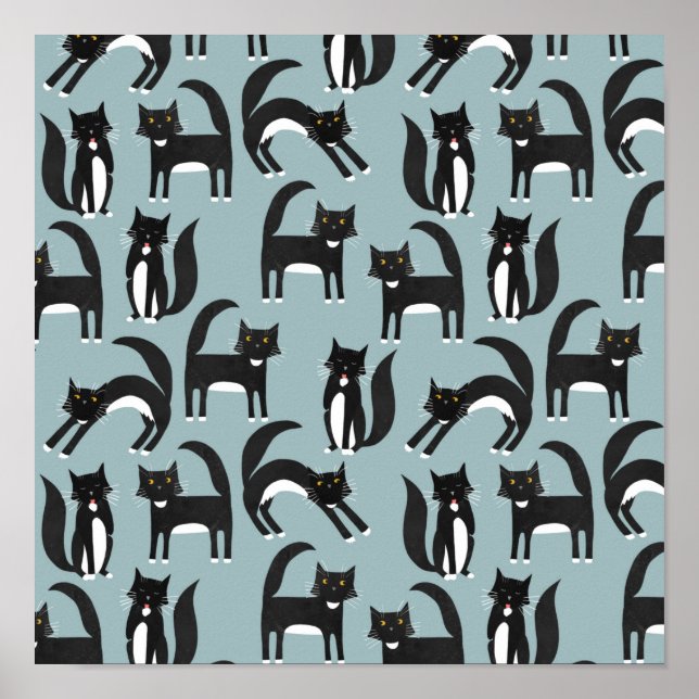 Tuxedo Cats Poster (Vorne)