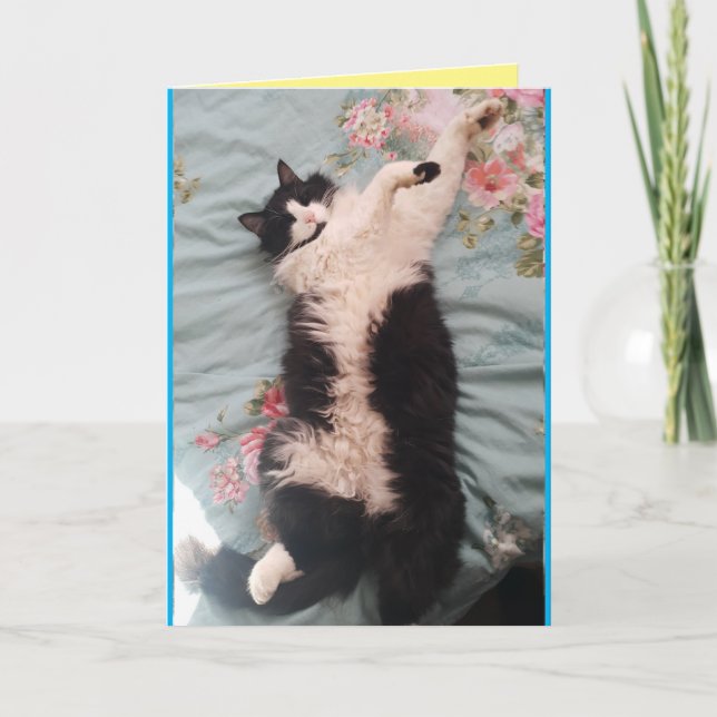 Tuxedo Chat Cute Drôle Humour couchage Carte Chats (Devant)