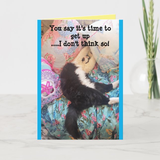 Tuxedo Chat Cute Funny Chats couchés Carte d'anniv (Devant)