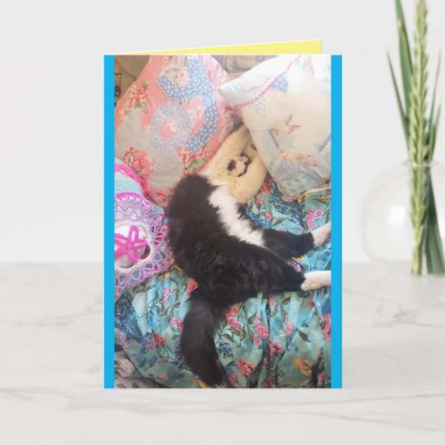 Tuxedo Chat Cute Funny Chats couchés Carte d'anniv (Devant)