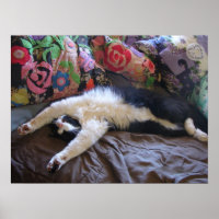 Tuxedo Chat Cute Funny Chats couchés Poster