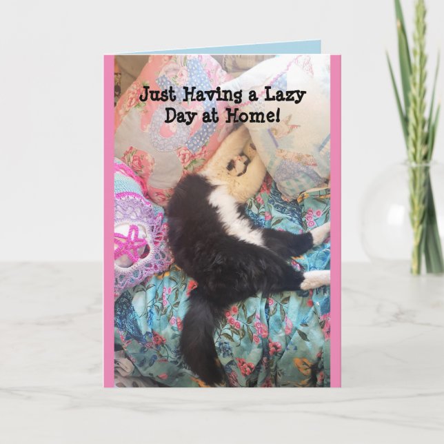Tuxedo Chat Cute Funny Chats dormant Lazy Carte de (Devant)