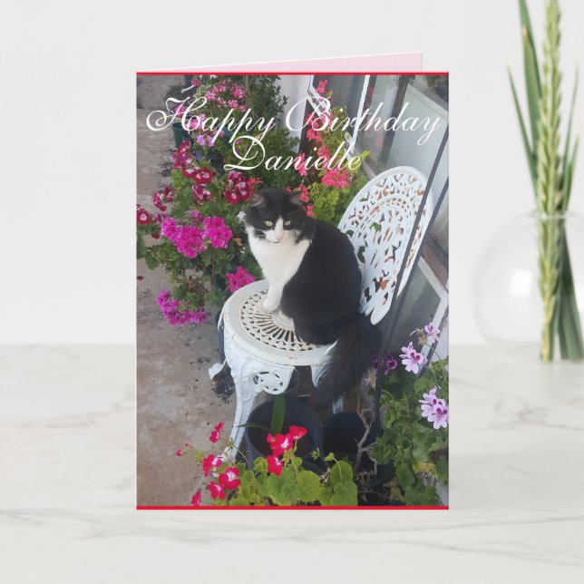 Tuxedo Chat Cute Jolie Fleurs Chats Carte d'Annive (Devant)