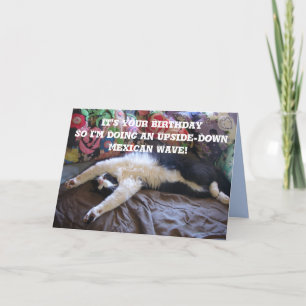 Tuxedo Chat Funny Mexicaine Vague Cute Carte Anniv