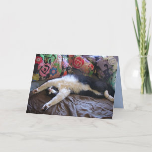 Tuxedo Chat Funny Mexicaine Vague Cute Carte Anniv