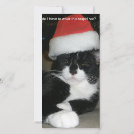 Tuxedo Christmas Feiertagskarte