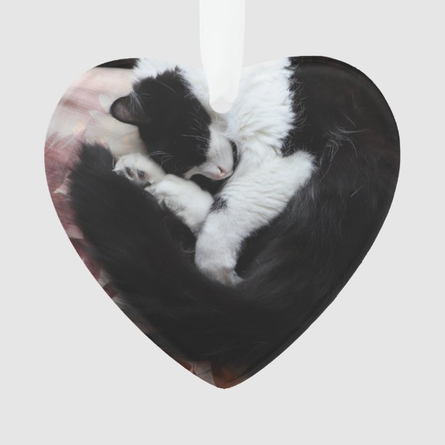 Tuxedo Kat Kitty Cats Schwarz-Weiß Caturday Ornament (Vorderseite)