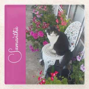 Tuxedo-Katze Katzen und Blumen Mädchen Name Dunkel Glasuntersetzer