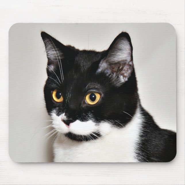 Tuxedo-Katze Mousepad (Vorne)