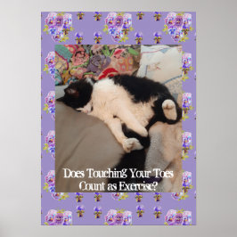 Tuxedo Katze Niedlich Funny Touching Zehen Katzen  Poster