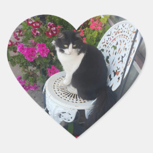Tuxedo-Katze Niedlich mit hübschen Blumen Schwarze Herz-Aufkleber