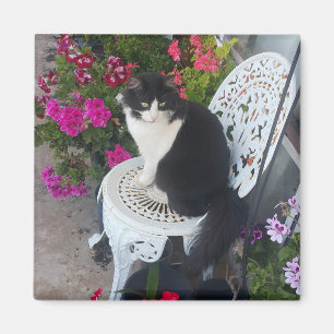 Tuxedo-Katze Niedlich mit hübschen Blumen Schwarze Magnet