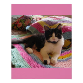 Tuxedo Katze Niedlich mit Hübschen Crochet Rug Pin Poster