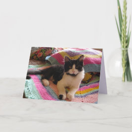 Tuxedo-Katze Niedlich mit Hübscher Crochet-Rug-Kar Karte