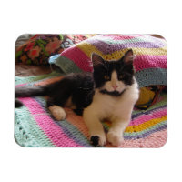 Tuxedo-Katze Niedlich mit Hübscher Crochet-Rug-Kar