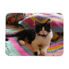 Tuxedo-Katze Niedlich mit Hübscher Crochet-Rug-Kar Magnet