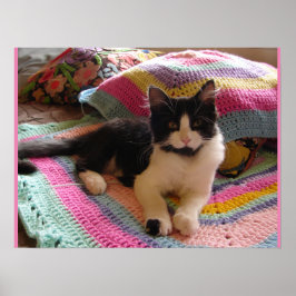 Tuxedo Katze Niedlich Schlafen Crochet Rug Katzen  Poster