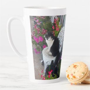 Tuxedo Katze Niedliche Hübsche Blume Katzen Geburt Milchtasse