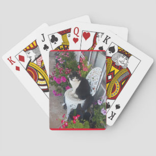 Tuxedo Katze Niedliche Hübsche Blume Katzen Geburt Spielkarten