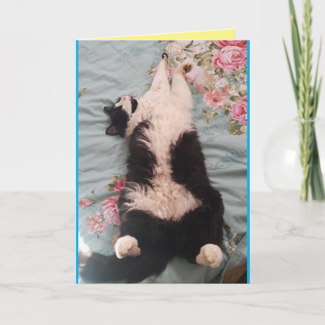 Tuxedo Katze Niedliche Schlafkatze Knetkarte Karte (Vorderseite)