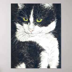 Tuxedo-Katze Poster