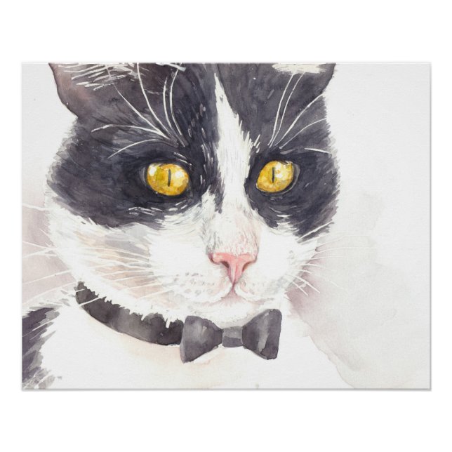 Tuxedo-Katze Poster (Vorderseite)