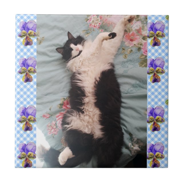 Tuxedo Katze Schlafen Funny Cats Happy Dance Tile  Fliese (Vorderseite)