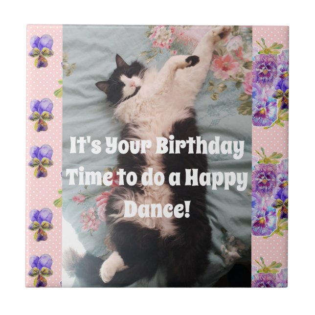 Tuxedo Katze Schlafen Funny Cats Happy Dance Tile  Fliese (Vorderseite)