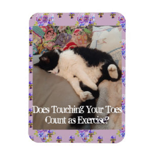 Tuxedo Katze Schlafen Zitat Katzen Magnet