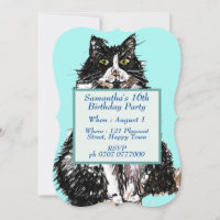 Tuxedo Katze Schwarz-weiß Niedliche Katzen 16. Geb