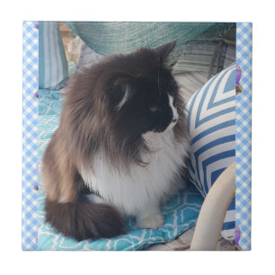 Tuxedo Katze Schwarz-weiße Furry Cats Keramik Tile Fliese