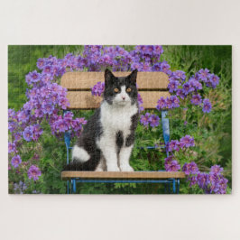 Tuxedo Katze sitzt auf einem Gartenstuhl mit Blume